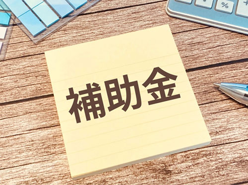 国や自治体の補助金を活用して導入コストをさらに削減